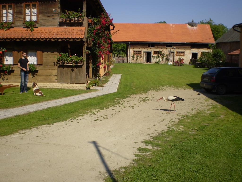 Apartments Iza Na Trem Cigoc Экстерьер фото