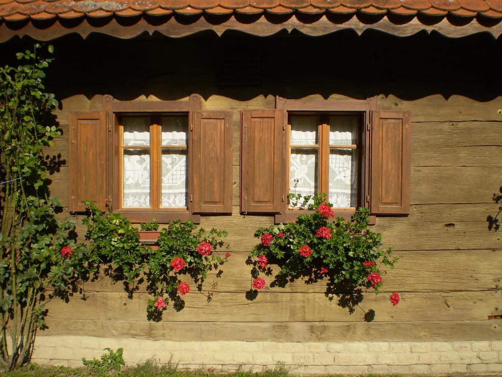Apartments Iza Na Trem Cigoc Экстерьер фото