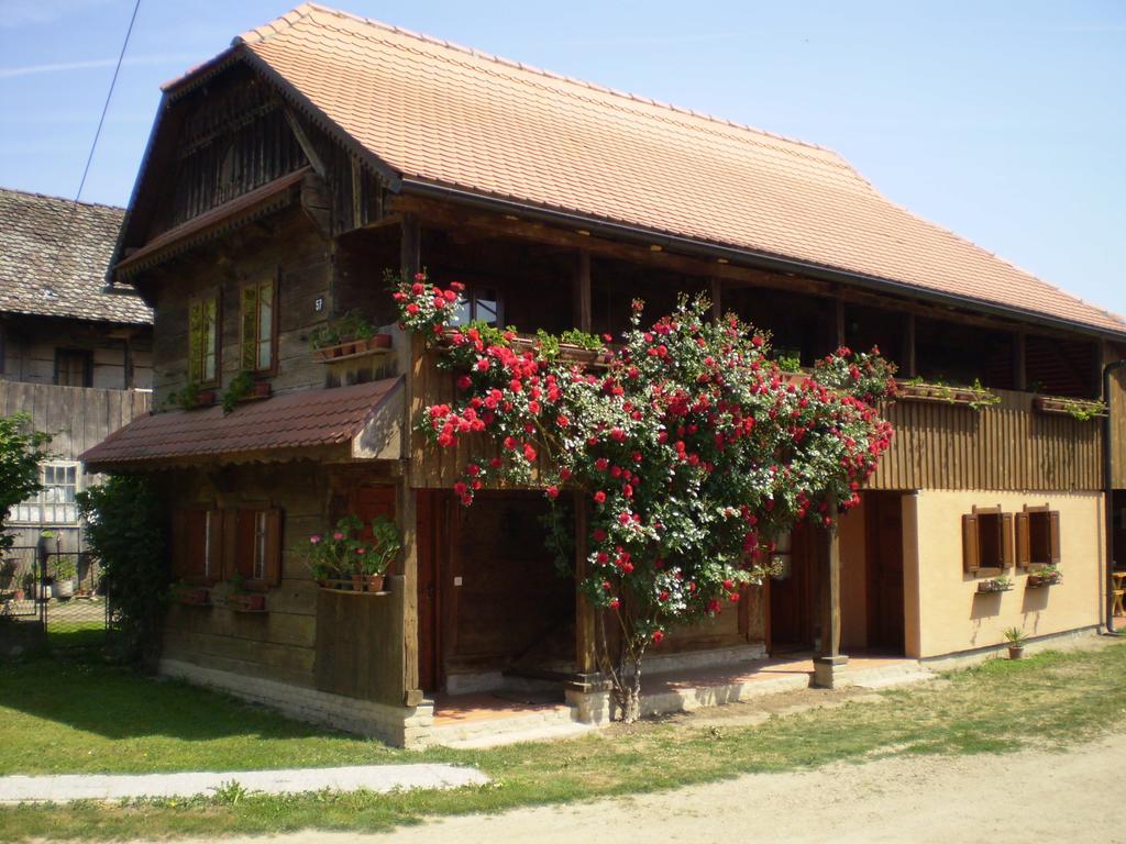 Apartments Iza Na Trem Cigoc Экстерьер фото